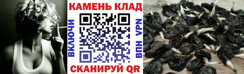 ГАШ Cannabis это наркотические препараты Миньяр хочу