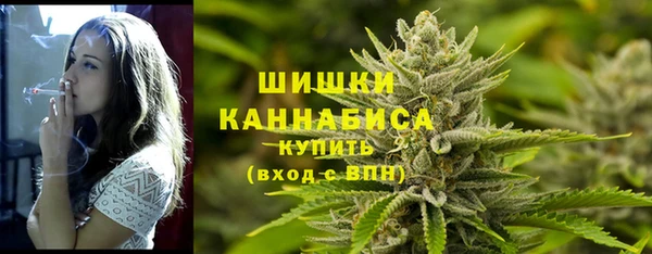 крисы Переславль-Залесский